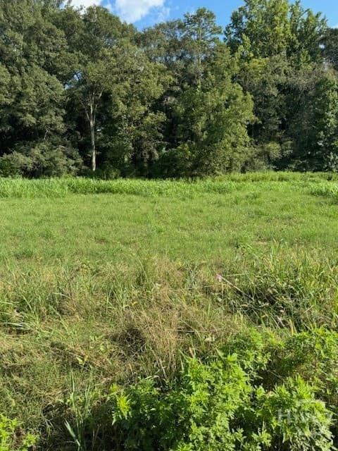 0 Rita Ridge LOT 4 - Photo 1