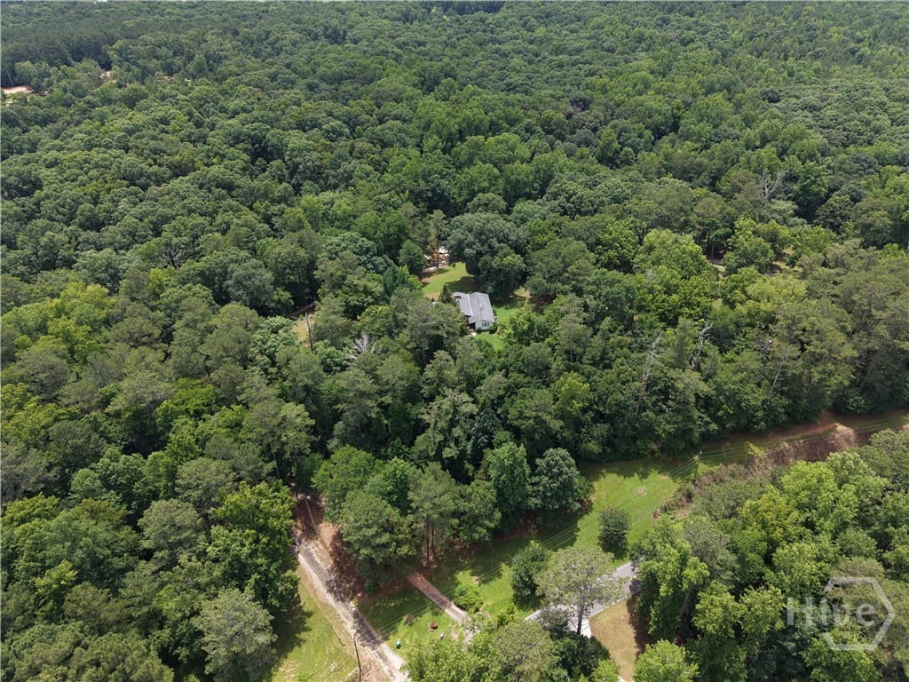 Tract 2 Spratlin Mill Road - Photo 1