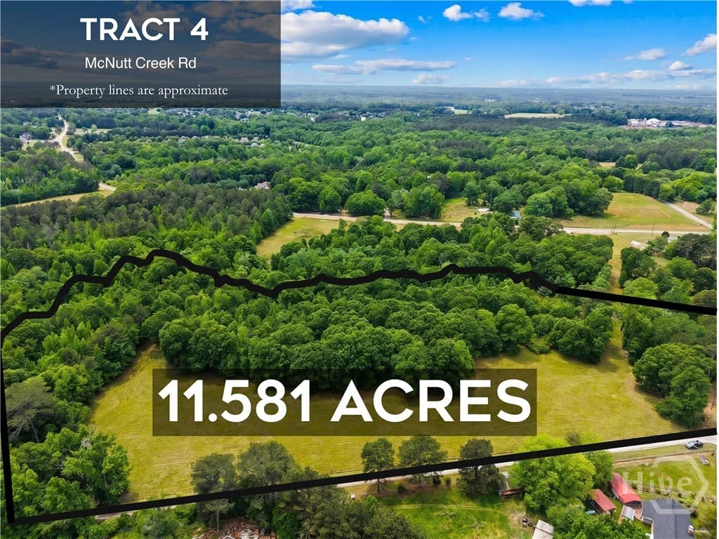 Tract 4 McNutts Creek Road