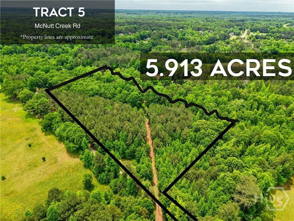 Tract 5 McNutt Creek Road - Photo 1