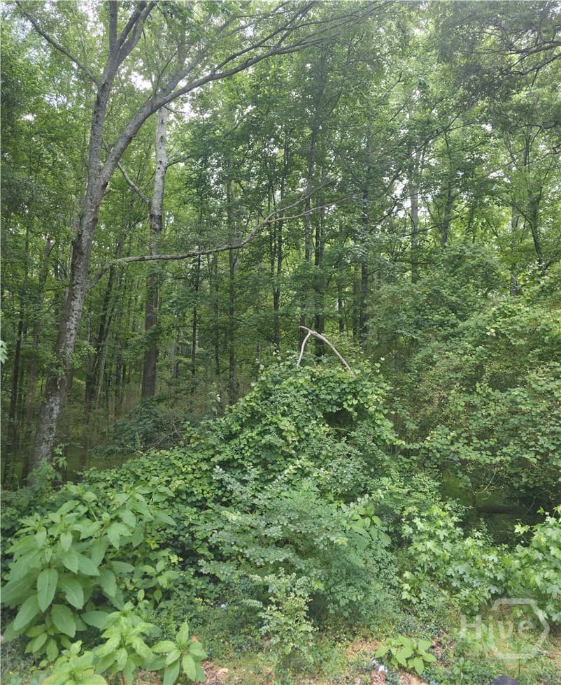 270 Cora Lou Lane - Photo 1