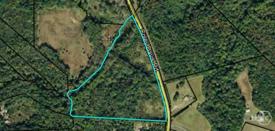 0 Coley Davis Road - Photo 1