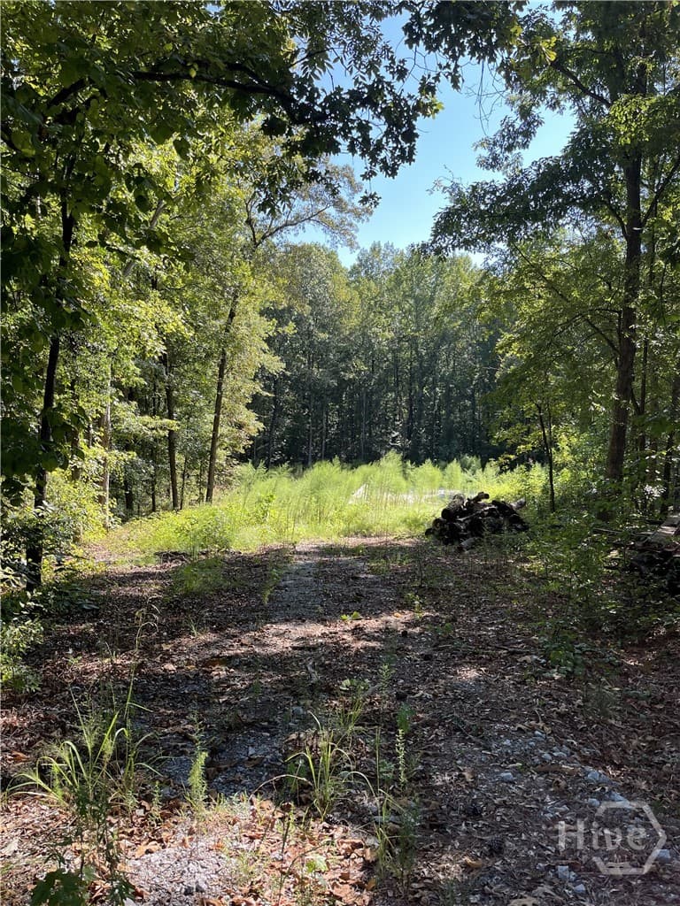 46 Creek Ridge - Photo 1