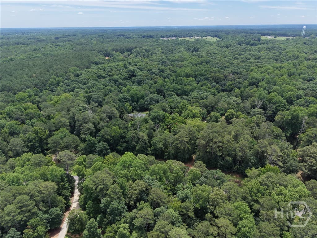 Tract 3 Spratlin Mill Road - Photo 1
