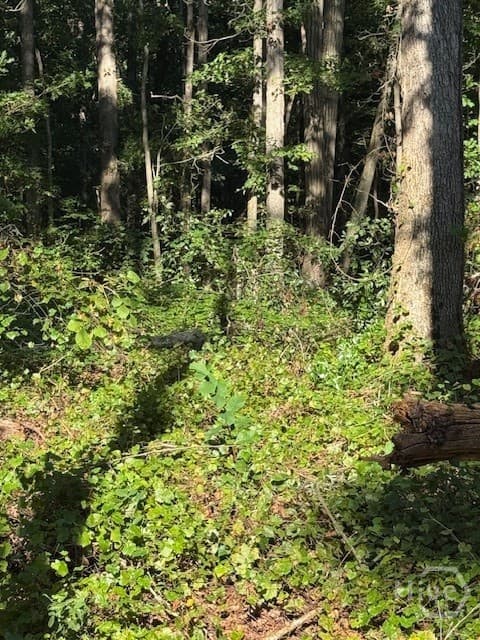 0 Rita Ridge LOT 5