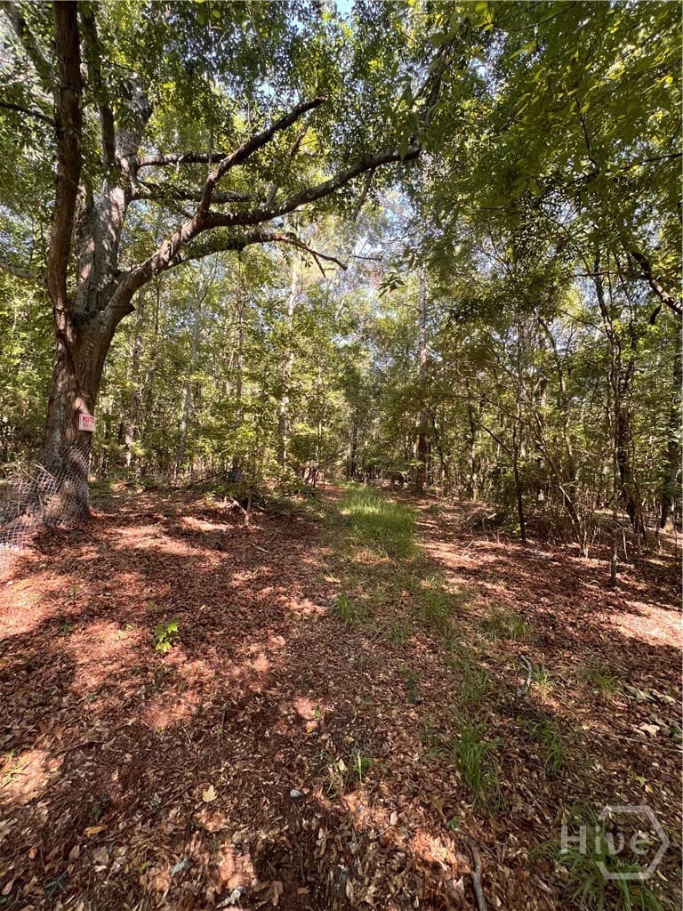 0 Rocky Drive - Photo 1