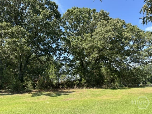 3511 New High Shoals Road - Photo 1